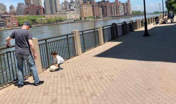 Hey, RIOC! Let's do something about the bikes while there's time. Will children still be able to play freely with bicycles whizzing by unchecked? History suggests that Public Safety is not up to the task of controlling bikes. So, what do we do?